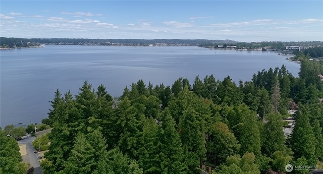 4712 NE 100th, Seattle, WA 98125 - photo 2