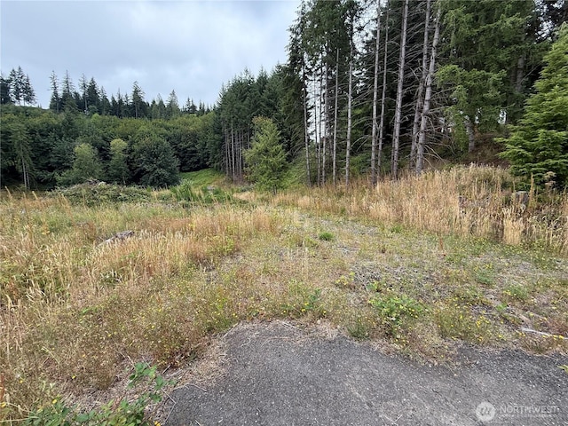 191 Northridge, Longview, WA 98632 - photo 10