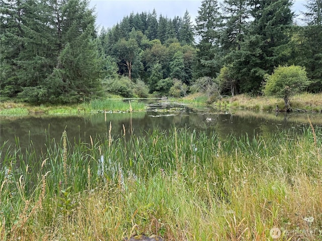 191 Northridge, Longview, WA 98632 - photo 24