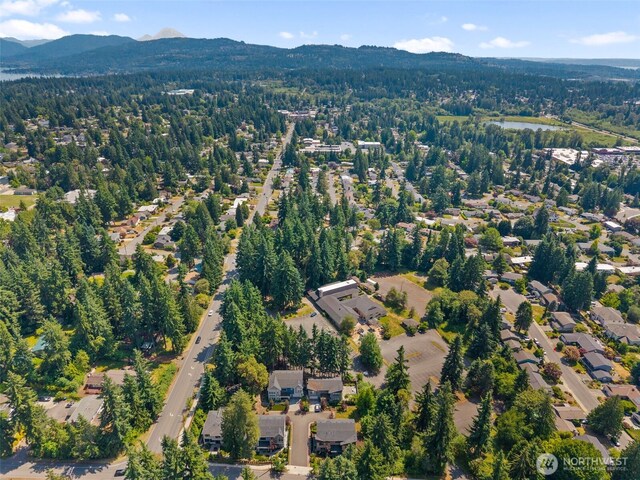 587 155th Pl NE, Bellevue, WA 98007 - photo 38