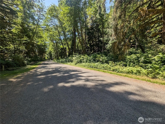 999 Kallman Rd, Forks, WA 98331 - photo 1
