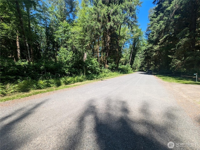 999 Kallman Rd, Forks, WA 98331 - photo 32