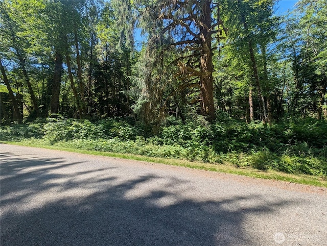999 Kallman Rd, Forks, WA 98331 - photo 3