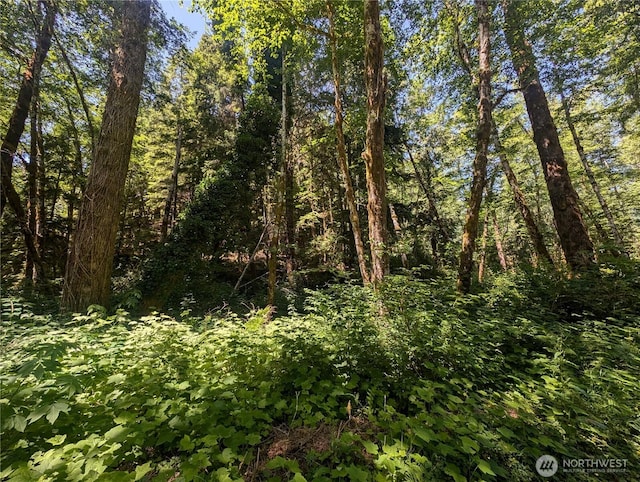 999 Kallman Rd, Forks, WA 98331 - photo 4