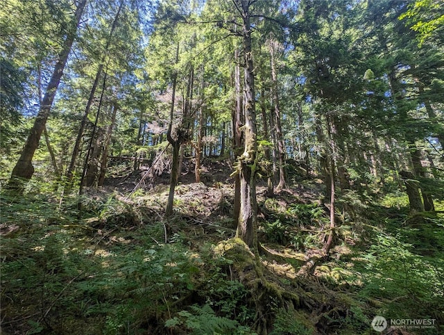 999 Kallman Rd, Forks, WA 98331 - photo 5