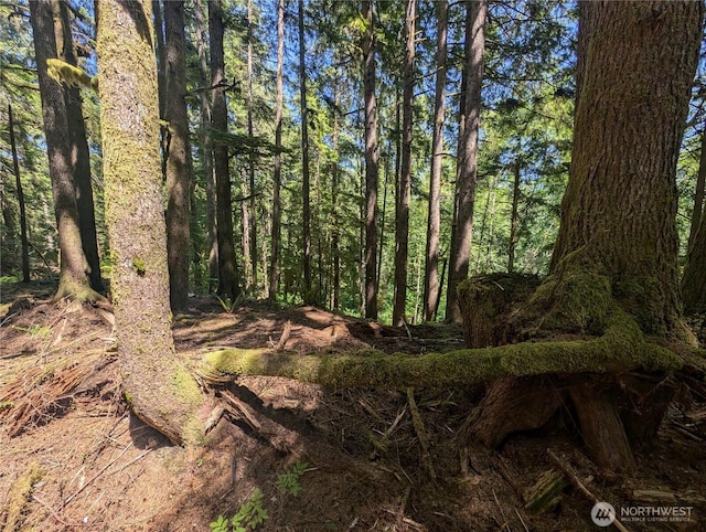 999 Kallman Rd, Forks, WA 98331 - photo 8