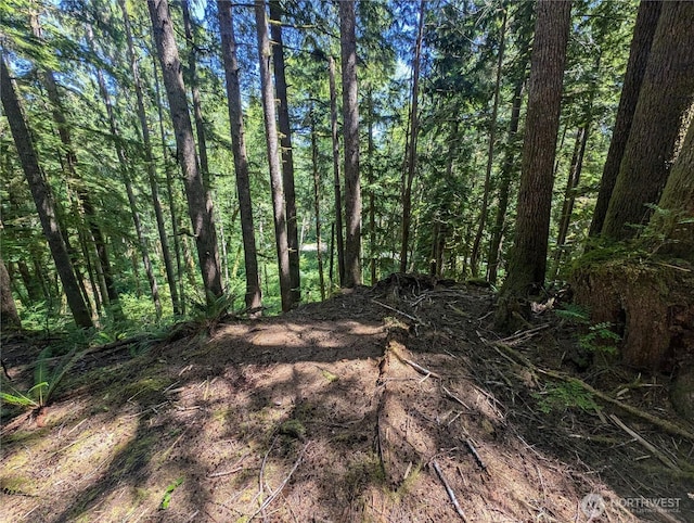 999 Kallman Rd, Forks, WA 98331 - photo 9