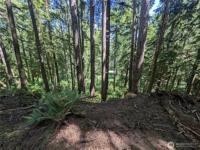 999 Kallman Rd, Forks, WA 98331 - photo 11