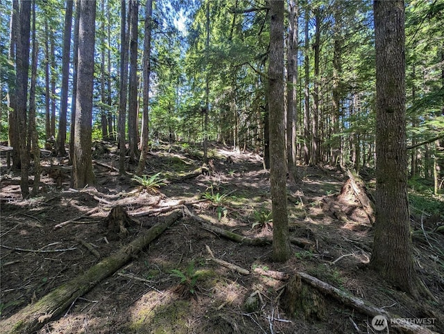 999 Kallman Rd, Forks, WA 98331 - photo 15