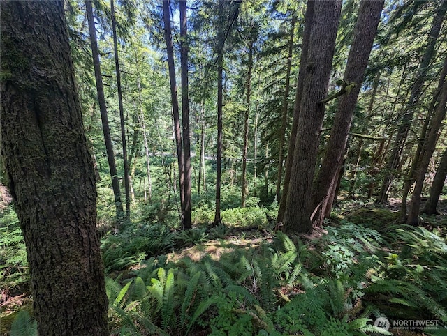 999 Kallman Rd, Forks, WA 98331 - photo 24