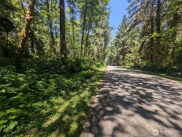 999 Kallman Rd, Forks, WA 98331 - photo 2
