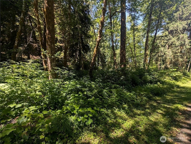 999 Kallman Rd, Forks, WA 98331 - photo 29