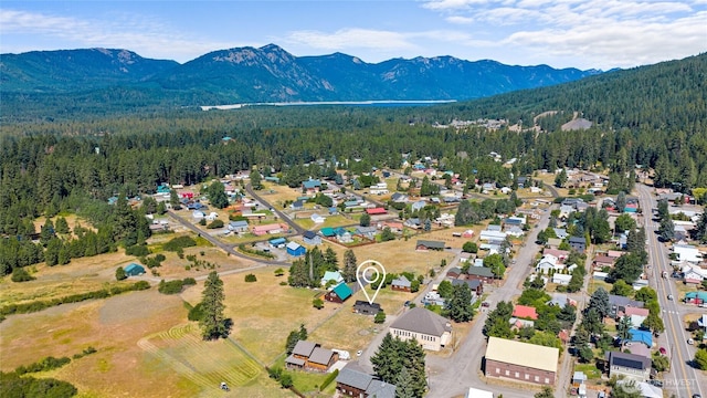 51 Alley St, Ronald, WA 98940 - photo 30