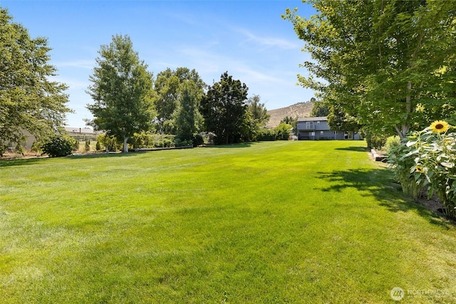 6050 W 20th Ave, Kennewick, WA 99338 - photo 28