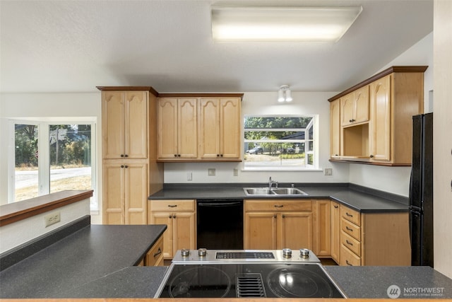 5308 Landes St, Port Townsend, WA 98368 - photo 7