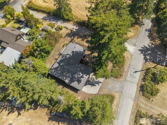 5308 Landes St, Port Townsend, WA 98368 - photo 30
