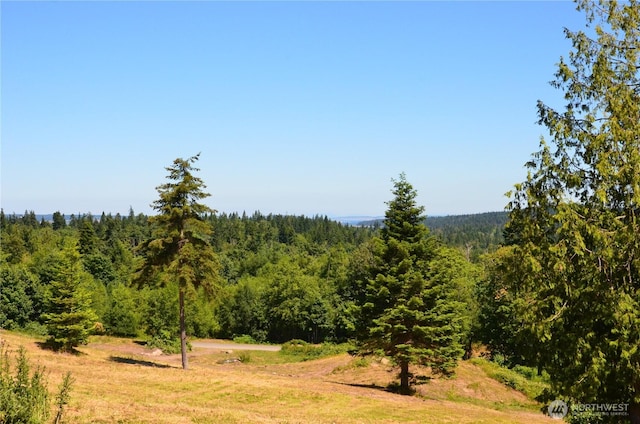 61 Kingfisher Pl, Port Hadlock, WA 98339 - photo 1