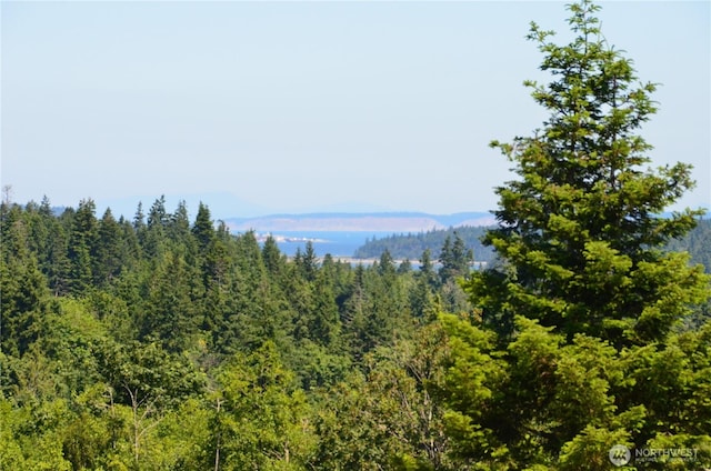 61 Kingfisher Pl, Port Hadlock, WA 98339 - photo 3