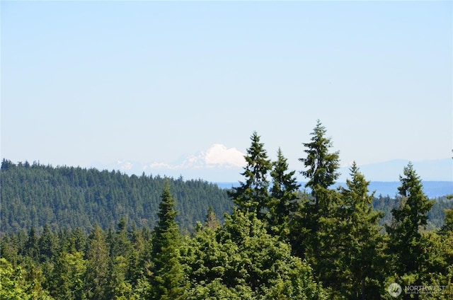 61 Kingfisher Pl, Port Hadlock, WA 98339 - photo 6