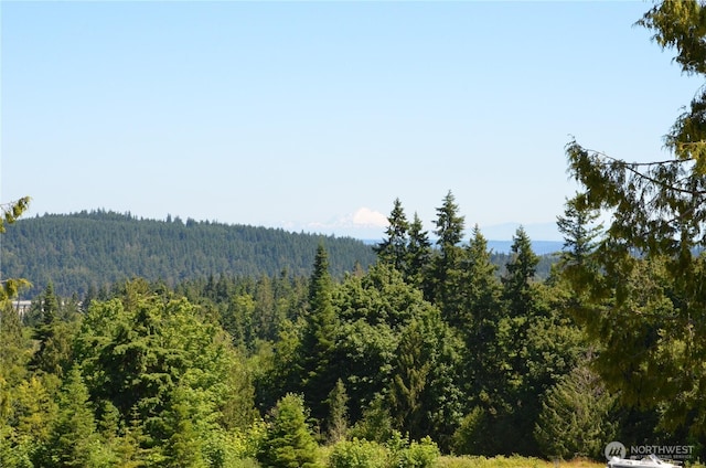 61 Kingfisher Pl, Port Hadlock, WA 98339 - photo 7