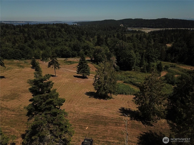 61 Kingfisher Pl, Port Hadlock, WA 98339 - photo 8