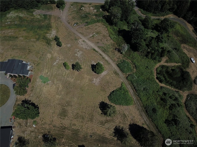 61 Kingfisher Pl, Port Hadlock, WA 98339 - photo 9