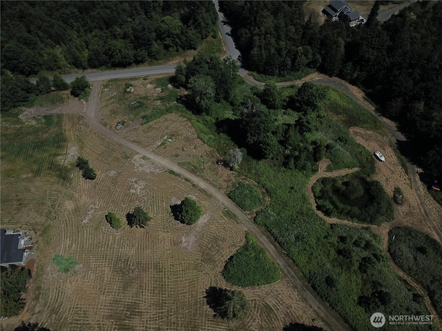 61 Kingfisher Pl, Port Hadlock, WA 98339 - photo 10