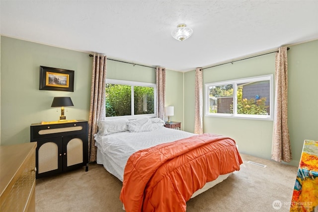 921 S 3rd St Unit 33, Sequim, WA 98382 - photo 21