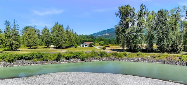 3999 Deming Rd, Everson, WA 98247 - photo 7