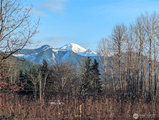 3999 Deming Rd, Everson, WA 98247 - photo 40