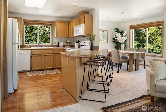 432 3rd Ave S Unit B206, Edmonds, WA 98020 - photo 4