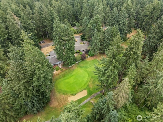 11421 108th St, Anderson Island, WA 98303 - photo 33