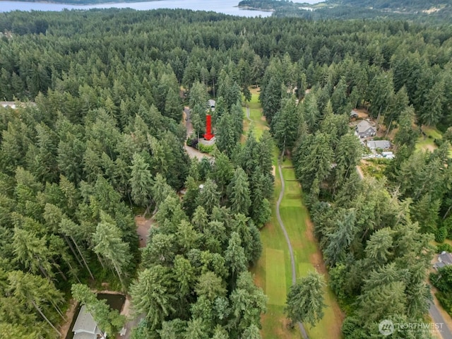 11421 108th St, Anderson Island, WA 98303 - photo 34