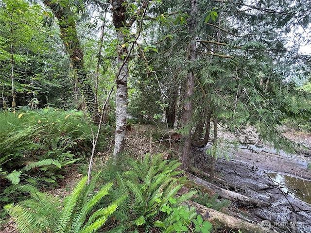 19401 Whiteman Cove Rd SW, Longbranch, WA 98351 - photo 8