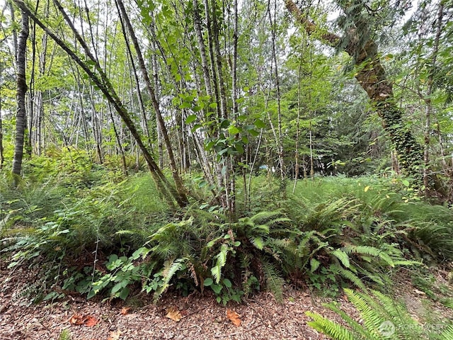 19401 Whiteman Cove Rd SW, Longbranch, WA 98351 - photo 9