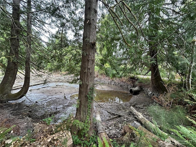 19401 Whiteman Cove Rd SW, Longbranch, WA 98351 - photo 10
