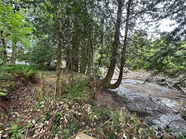 19401 Whiteman Cove Rd SW, Longbranch, WA 98351 - photo 12