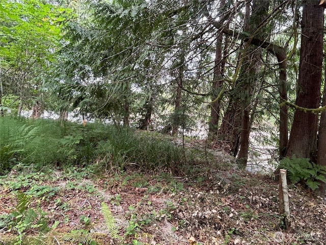 19401 Whiteman Cove Rd SW, Longbranch, WA 98351 - photo 14
