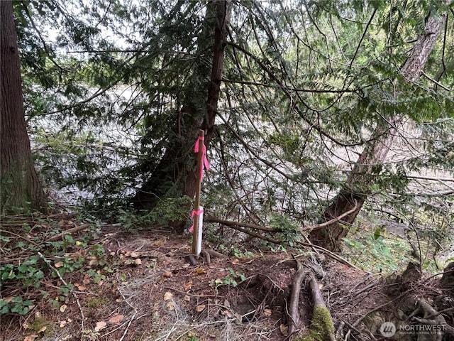 19401 Whiteman Cove Rd SW, Longbranch, WA 98351 - photo 15