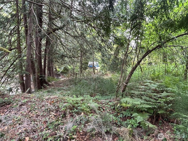 19401 Whiteman Cove Rd SW, Longbranch, WA 98351 - photo 16