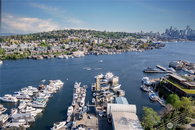2309 N Northlake Way Unit 12, Seattle, WA 98103 - photo 4