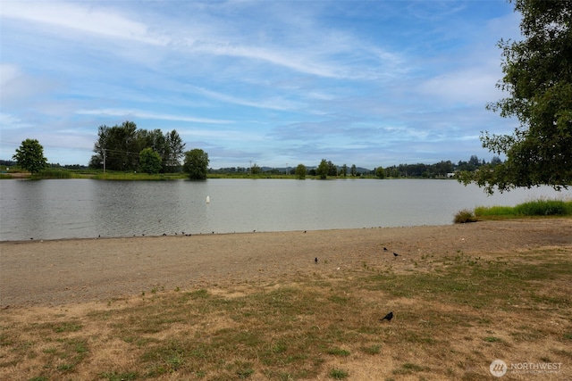 15121 Elliott Ave SE, Monroe, WA 98272 - photo 25
