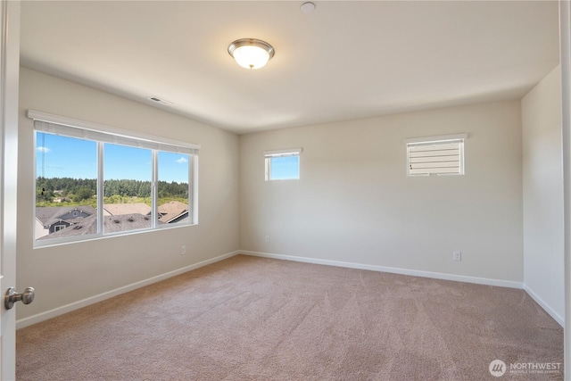 5020 51st Avenue Ct W, University Place, WA 98467 - photo 10