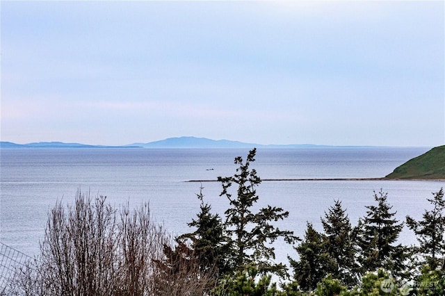 150 W St, Sequim, WA 98382 - photo 1