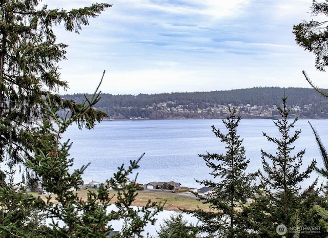 150 W St, Sequim, WA 98382 - photo 2