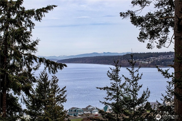 150 W St, Sequim, WA 98382 - photo 8