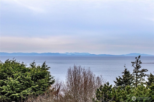 150 W St, Sequim, WA 98382 - photo 9