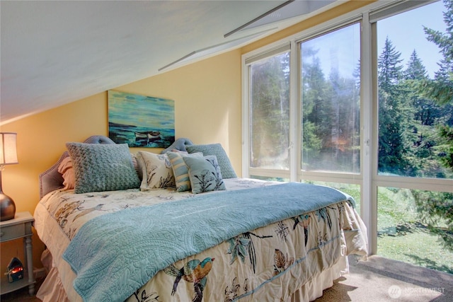 3 Marigold Dr Unit 15, Bellingham, WA 98229 - photo 32