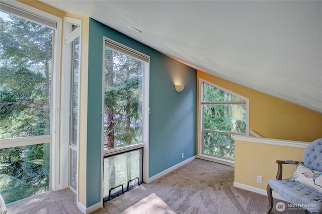 3 Marigold Dr Unit 15, Bellingham, WA 98229 - photo 34