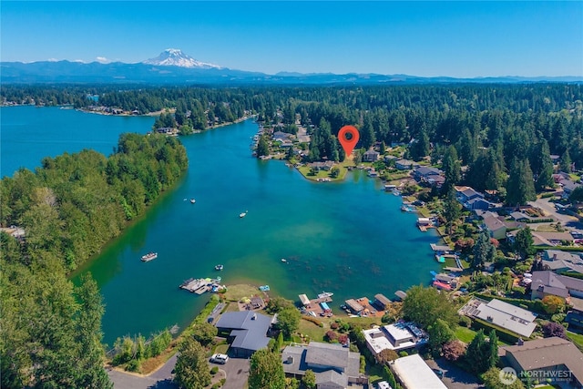 4739 Lakeridge Dr E, Bonney Lake, WA 98391 - photo 5